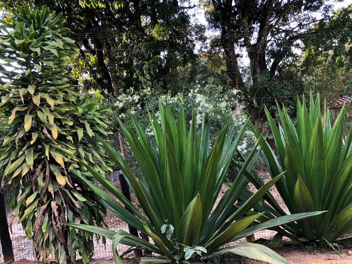Vila Glaura Exterior foto